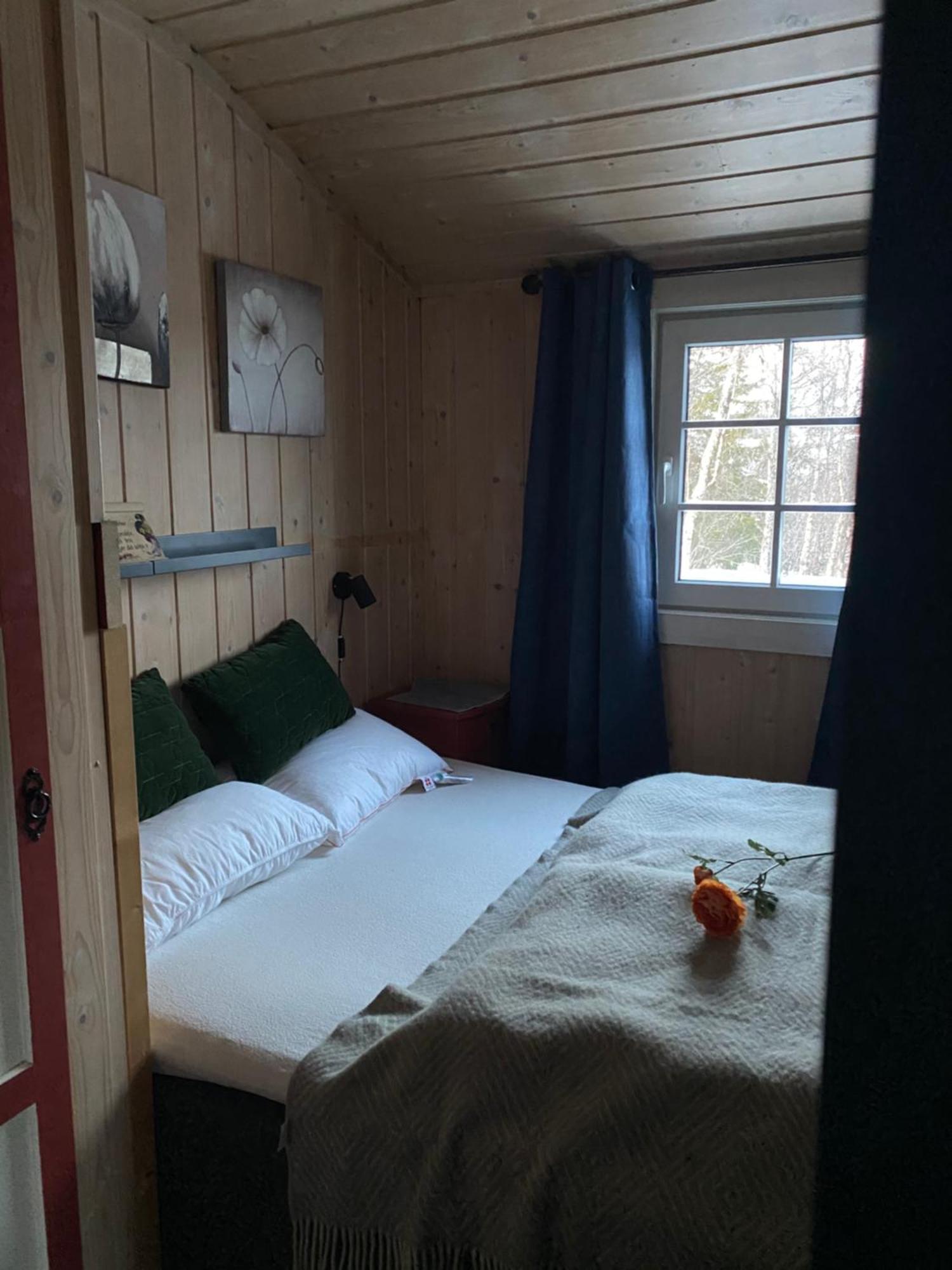 Cabin In The Mountain, Outstanding View & Solar Energy Slidre Екстер'єр фото